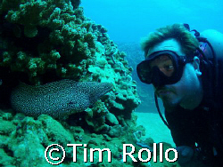 Self Portrait.  I took this photo of a whitemouth and me ... by Tim Rollo 